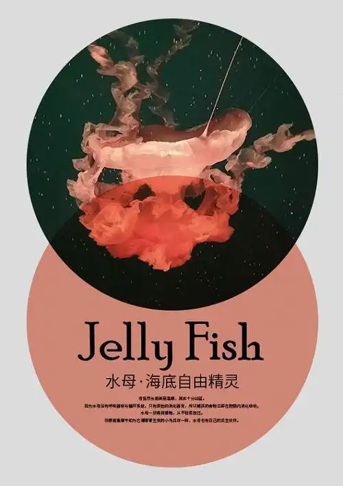 方式一直是比较主流的设计方式,许多电影海报或者产品广告都是采用