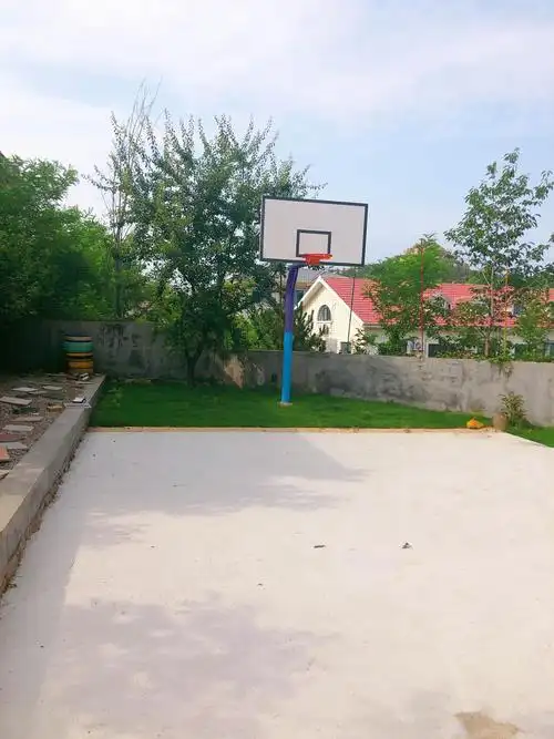有篮球场的轰趴别墅啊,虽然简易点但是也算是个篮球场了.
