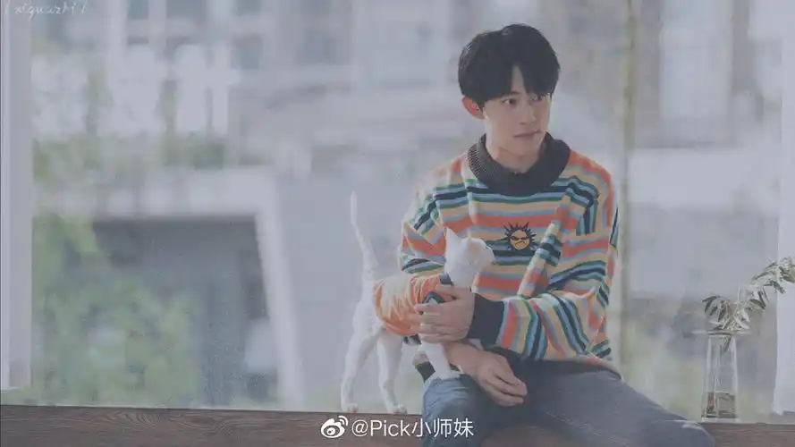 易烊千玺抱猫都只抱瘦的要被两只猫笑死