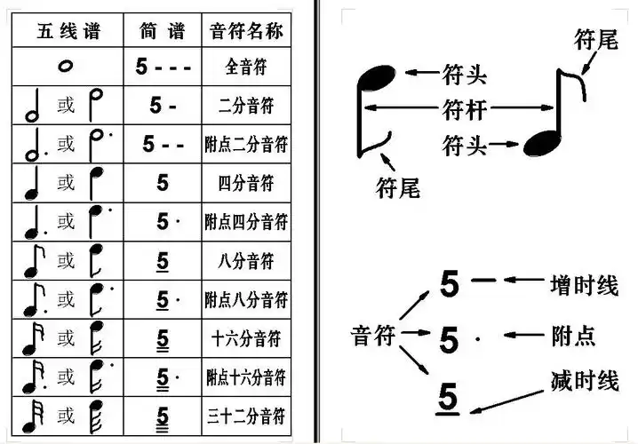 小提琴除了全音符还有什么符?(高手回答)