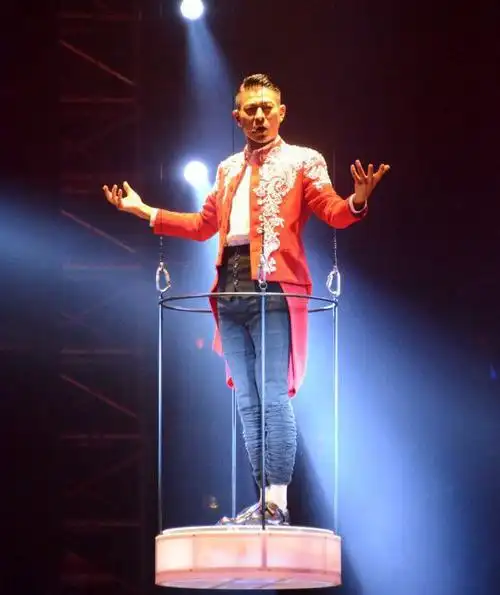 刘德华演唱会出意外歌迷跳上舞台扑向华仔天王这一举动太亲民