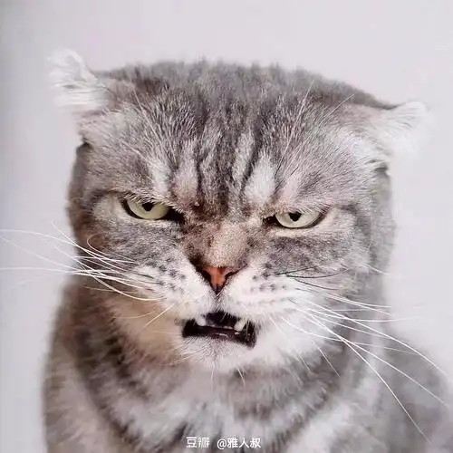 性同一障碍女的相册-面目狰狞小可爱