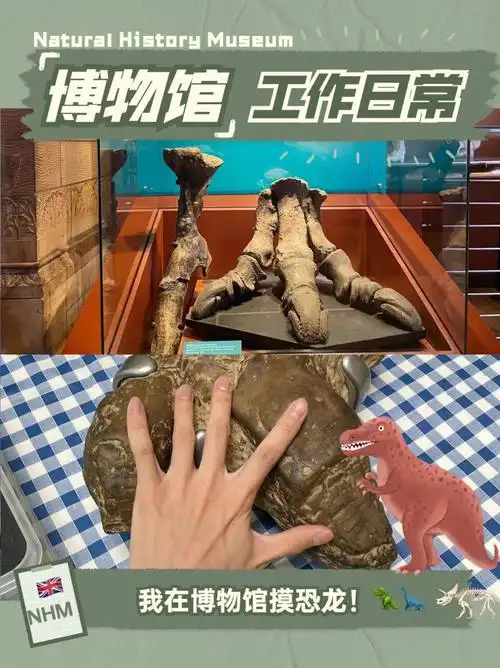 omg我在博物馆摸到了恐龙大腿和脚掌04