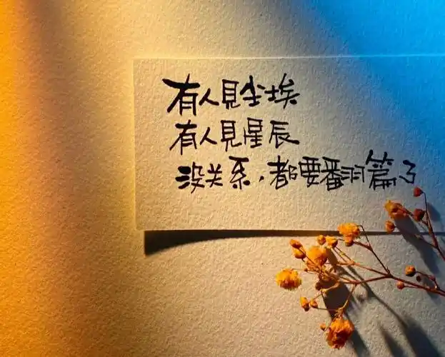 尽力而为也许就这样也挺好吧