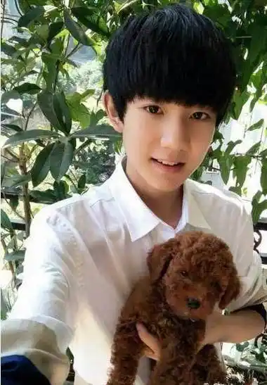 跟宠物合影,baby表情和猫好一致,杨幂也太贪玩了吧_鹿晗_赵丽颖_狗狗