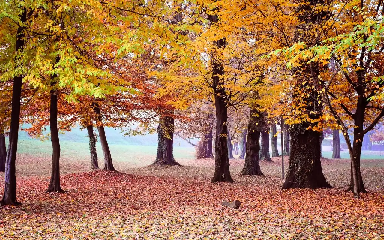 秋天唯美自然风光图片高清壁纸