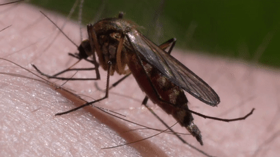 408_230gif 动态图 动图