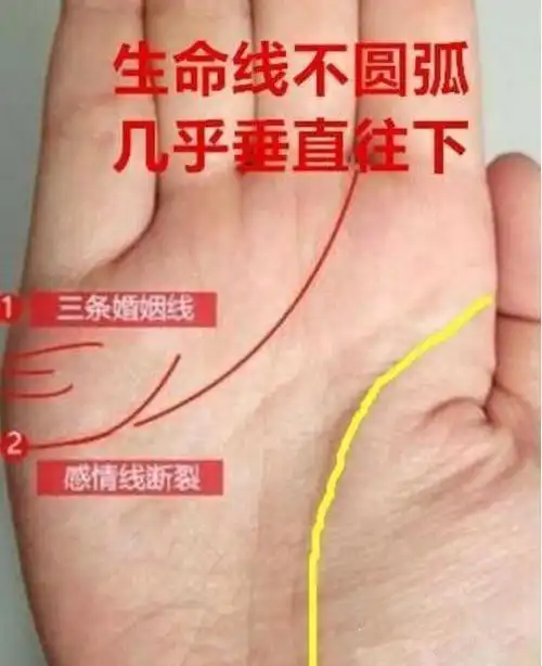 生命线|凤尾|婚后_新浪新闻