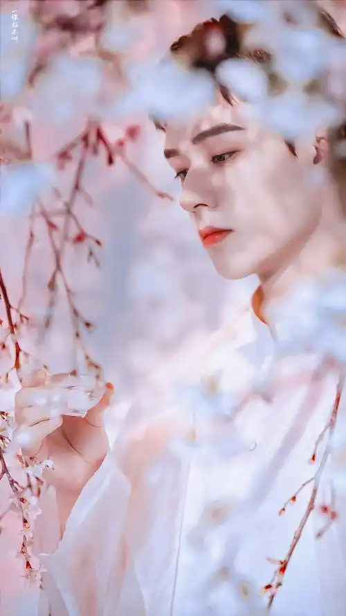 龚俊- 堆糖,美图壁纸兴趣社区