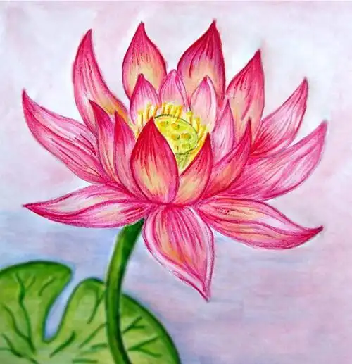 桃花彩色素描简笔画