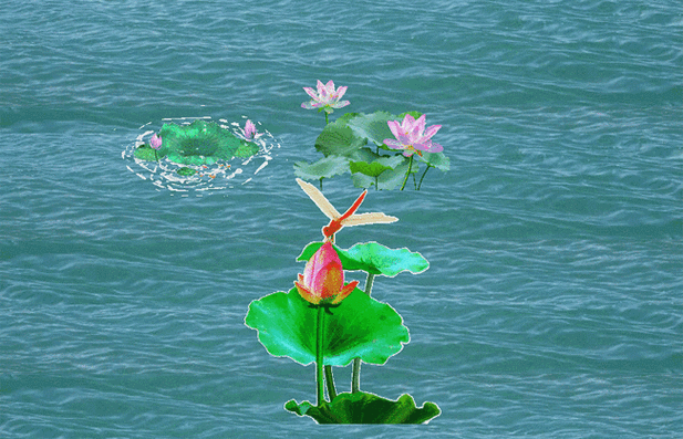 映日荷花别样红