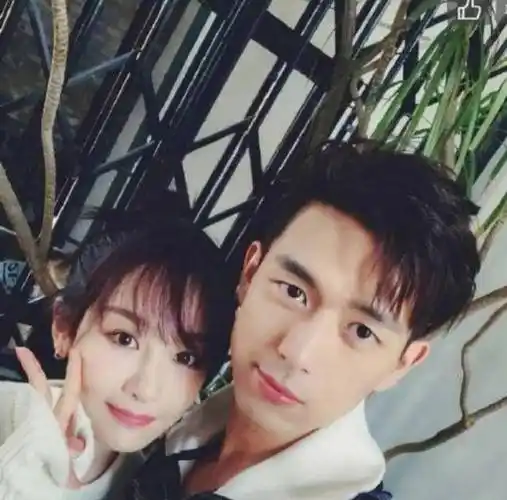 杨紫28岁生日,李现张一山甜蜜送祝福,欢乐颂五美独缺王子文?