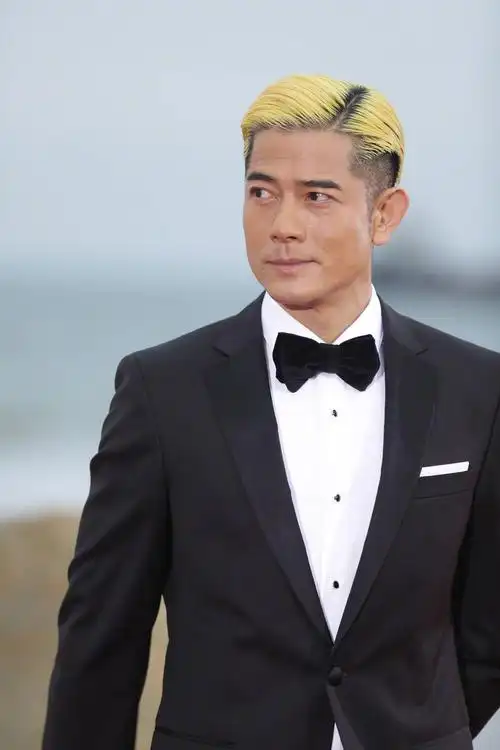 郭富城这发型是想闹哪样?