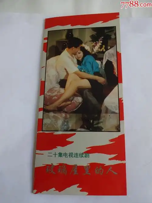 二十集电视连续剧玻璃屋里的人