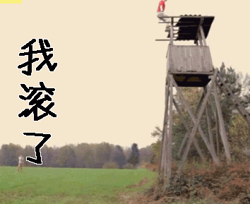 我滚了gif滚吧gif滚gif