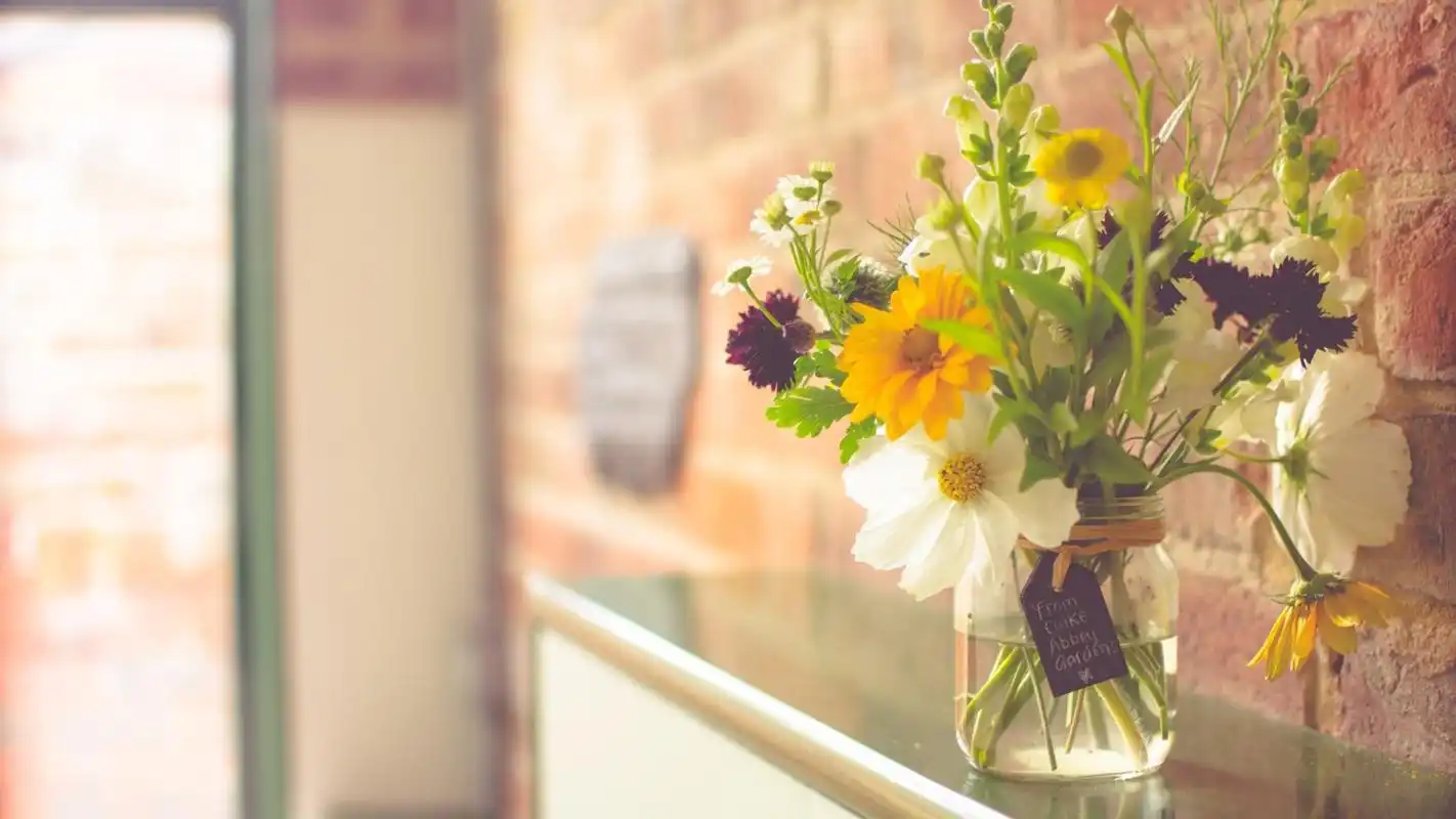 治愈系唯美清新花卉图片电脑桌面壁纸高清大图预览1920x1080_植物壁纸