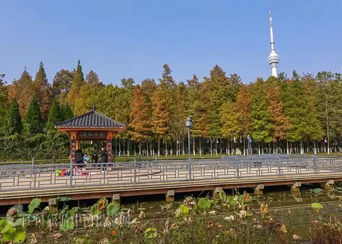 武汉汉阳江滩大禹神话雕塑主题景观园一瞥