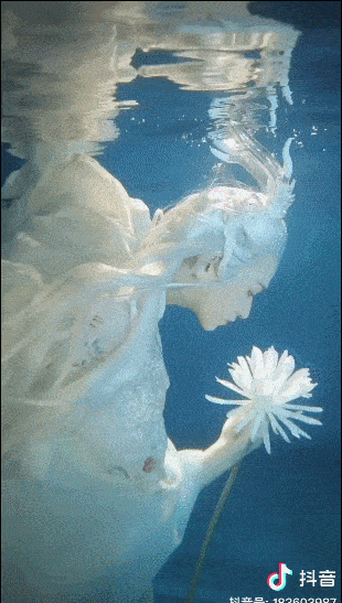 百万点赞膨胀了抖音网红处理假账号公关和李子柒差了不止一点