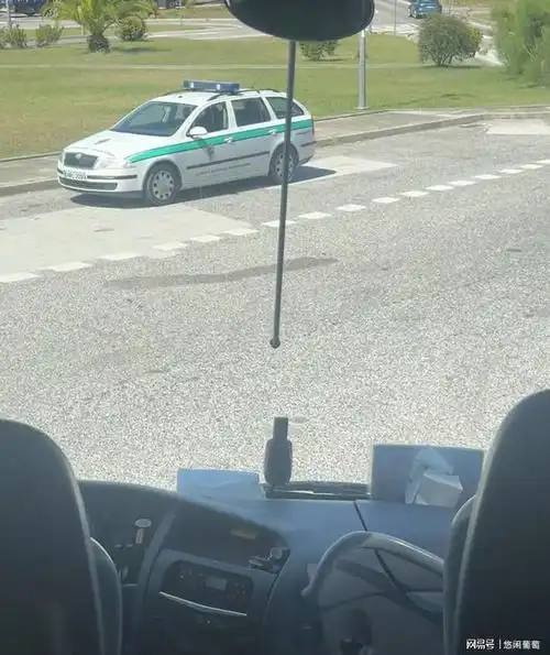 欧洲跟团游|结果整个旅行团都被偷了…|包包|葡萄牙|西班牙|休息站