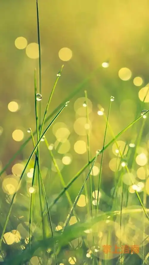 分享几张保护眼睛的屏保