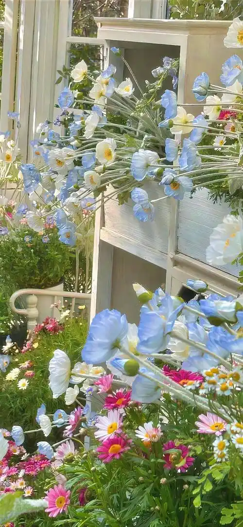 壁纸 | 治愈系梦幻锁屏壁纸