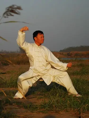 昆明陈氏太极拳培训学校,昆明哪里可以学太极拳_十堰广电