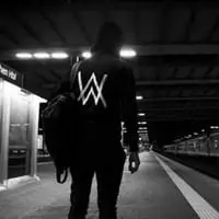 alanwalker头像图片大全【点击鼠标右键下载】