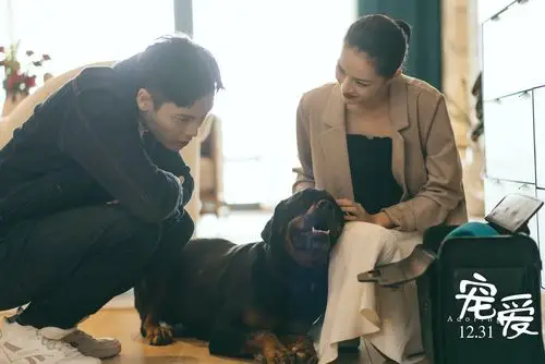 预售开启宠爱曝永远爱你版预告陈伟霆医院跟狗狗告别钟楚曦泪崩大哭
