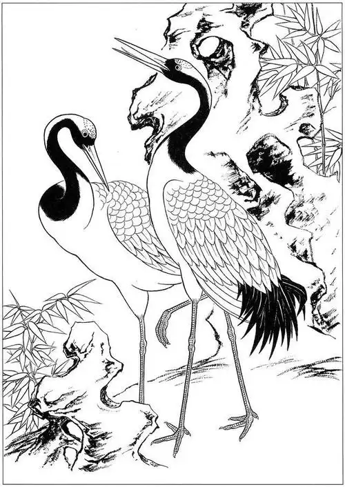 高清工笔画白描线稿图集,之仙鹤篇!