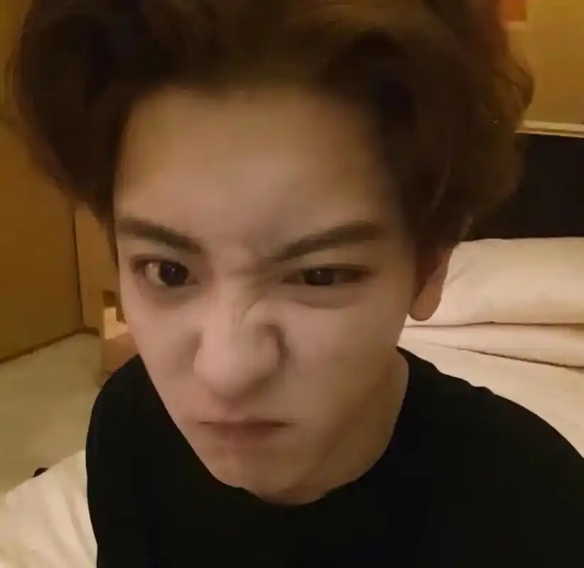 早期小狼.#朴灿烈 #chanyeol #exo爱丽 #ex - 抖音