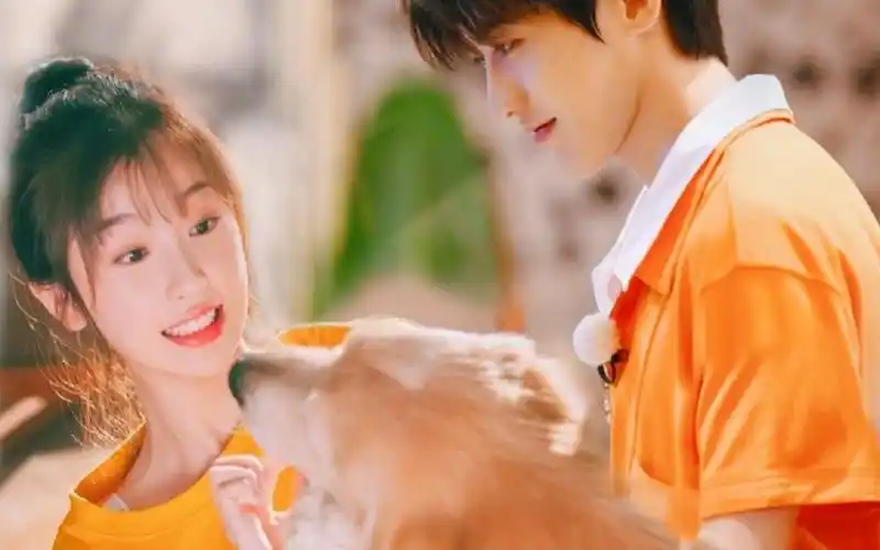 菜心cp唯粉勿入菜心cp的爱情故事蔡徐坤虞书欣爱情是如此奇妙