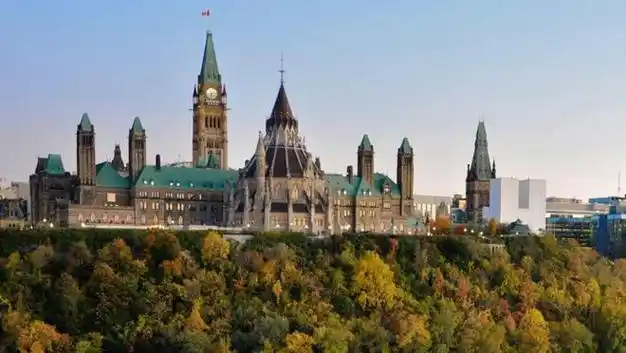 出海雇佣指南|加拿大篇|病假|工资|无薪|产假|年假_网易订阅