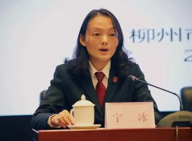 新闻发布会丨 在"府院联动"机制下,看柳州如何以破