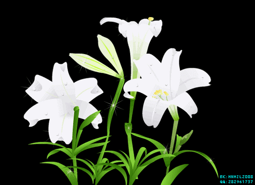 550_400gif 动态图 动图