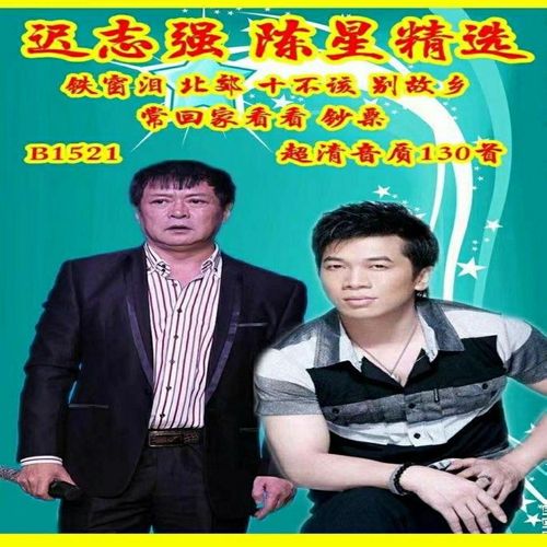 迟志强陈星经典歌曲tf卡铁窗泪/十不该/十不该/别故乡音频mp3