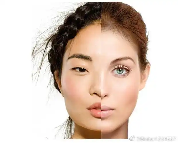 黄种人和白种人的外貌特征对比图