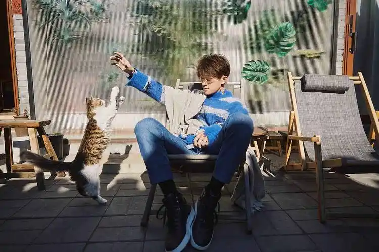 易烊千玺发布新春写真怀抱猫咪游走街头闲适温暖