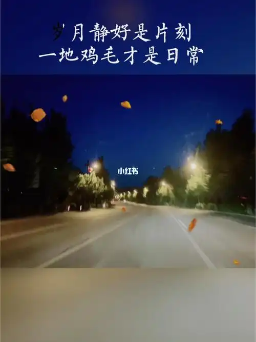 生活现实句子说说心情_现实生活一地鸡毛无奈的句子_现实无奈卡通