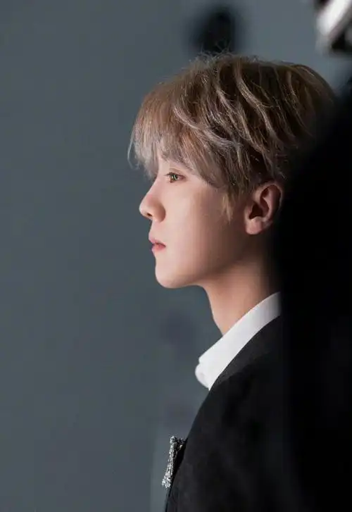 对于的侧颜我只能说我毫无抵抗力……|鹿晗_新浪新闻