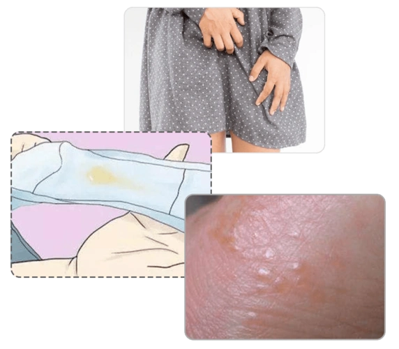 它对 赤白带下, 阴肿阴痒, 湿疹湿疮, 皮肤瘙痒, 滴虫性阴道炎等症状