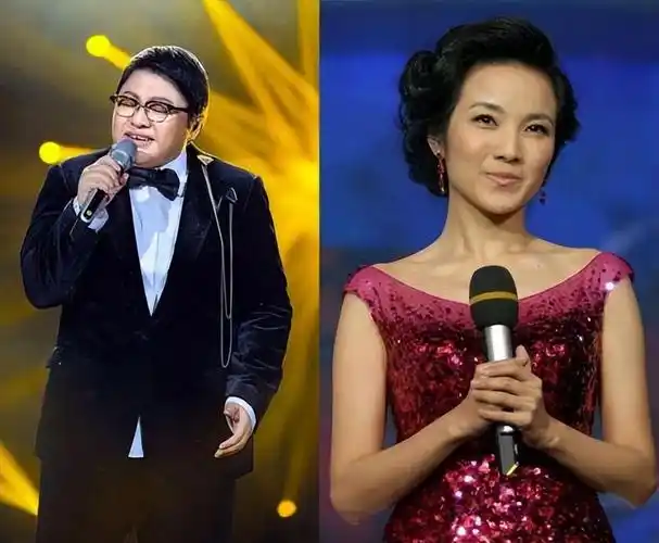 如果没有那场和韩红的绯闻,她也不至于"消失".