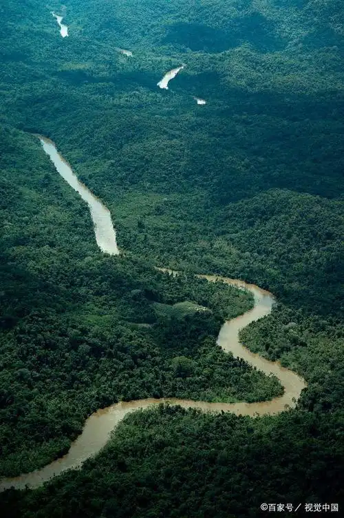 俯瞰巴西亚马逊地区景观热带雨林郁郁葱葱