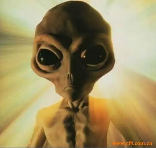 客机上拍到外星人 科学揭秘究竟有没有外星人?