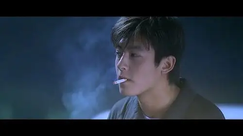 深夜选择题,如果爱的金城武vs头文字d的陈冠希,文艺忧郁男vs.