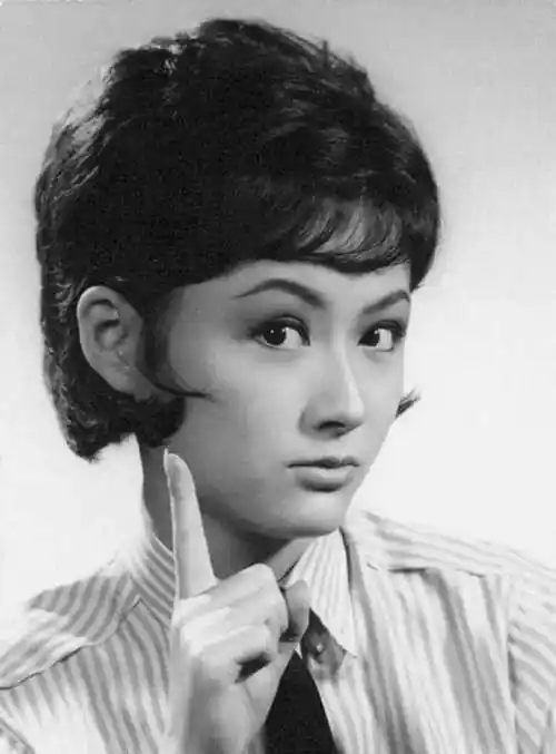 潘迎紫个人资料近照(不老女神潘迎紫真实现状)