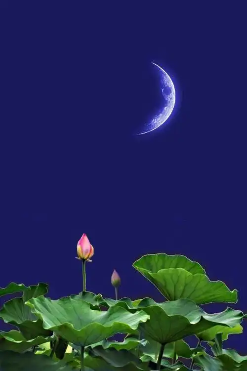 自学教程〕荷塘之夜照片添加月牙效果