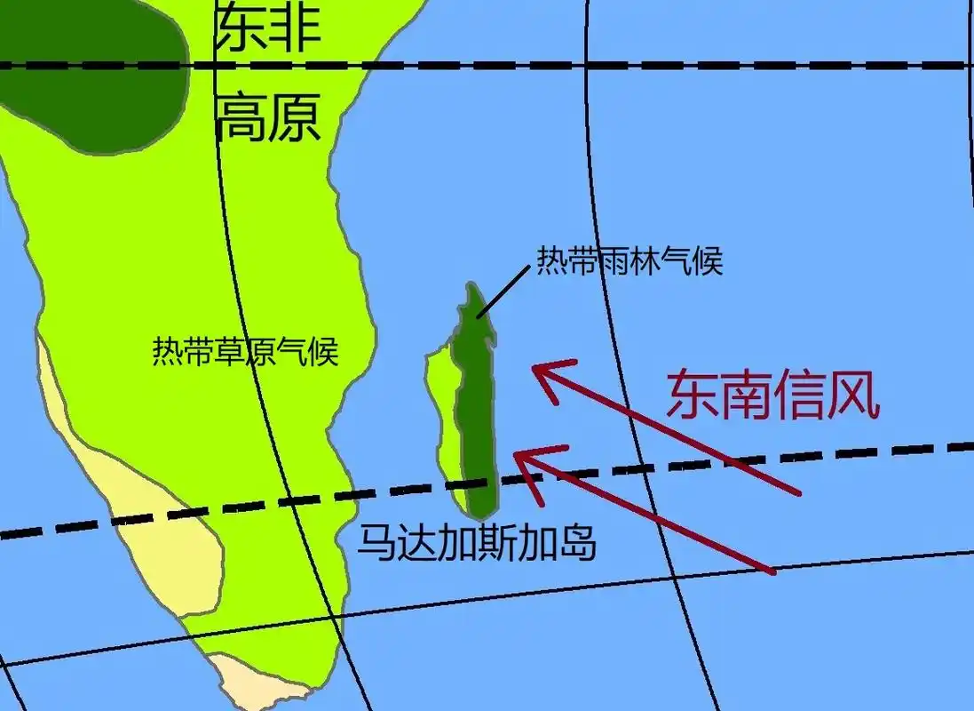 为什么非洲东南部沿海地区并没有形成热带雨林气候