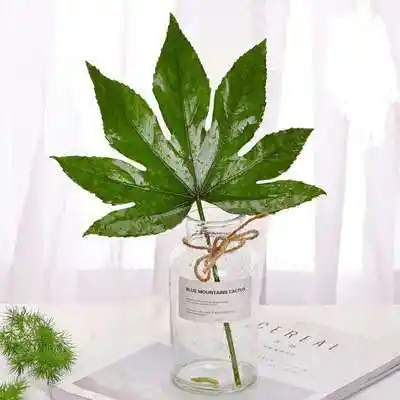 黄英尤加利叶红豆鲜花配草云南昆明鲜花基地直发黄莺直批直供