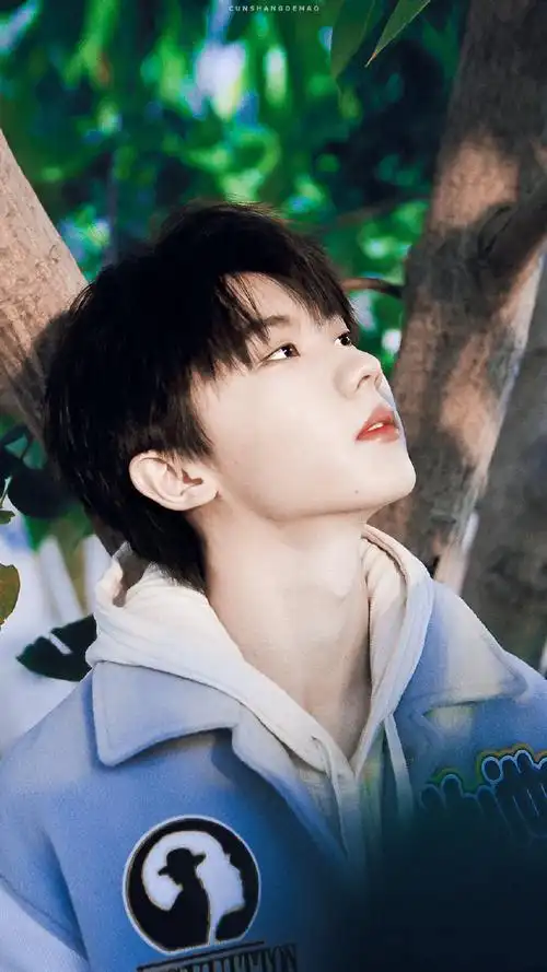 马嘉祺叁重楼暨出道四周年演唱会##时代少年团四季大片