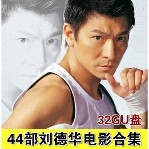 刘德华电影u盘 自带44部高清mp4格式视频 车载usb电视机通用